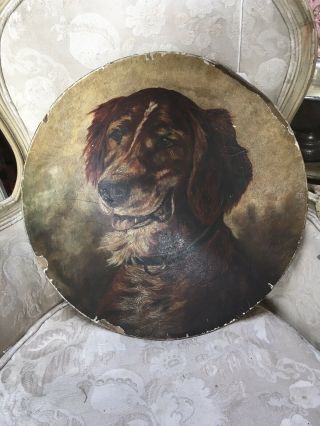 The Best Dog Oil Painting On Large Paper Mâché Plate 1880s - 1900 K