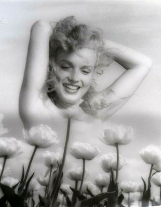 Vintage 1949 Marilyn Monroe 11 " X 14 " Silver Gelatin Photo By Andre De Dienes