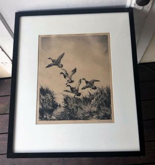 Vintage Roland Clark Signed Sporting Art Drypoint Etching - Ducks In Dixie,  1930