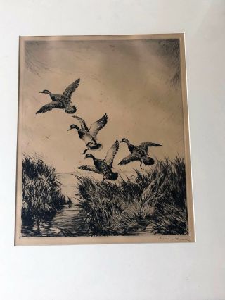 Vintage ROLAND CLARK Signed Sporting Art Drypoint Etching - Ducks in Dixie,  1930 2