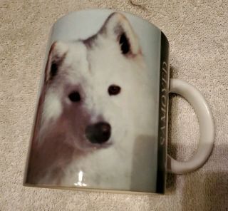 Samoyed Dog Coffee Cup