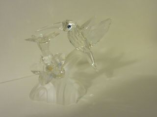 Swarovski Silver Crystal Hummingbird Bird Blue Eyes And Flowers W/original Box