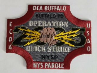 Commemorative Patch: Operation Quick Strike - Dea Buffalo Task Force