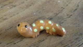 Vintage Hagen Renaker Orange Green Caterpillar Worm Miniature Ceramic Insect Bug