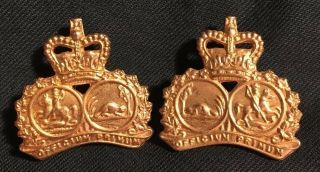 The Elgin Regiment,  Canada Collar Badges Dogs Canadian Queen 