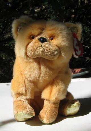Chow Chow Ty Beanie Baby Retired Dog All Tags