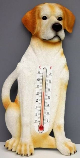 Yellow Labrador Thermometer,  Indoor/outdoor,  Spoontiques,  Resin,  Item 08088