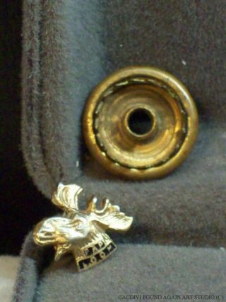 Loyal Order of Moose Screw Back Pin Enamel Vintage LOOM Old Lodge Badge PAP 3