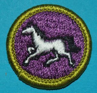 Animal Industry Type H Merit Badge - Plastic Back - - - Boy Scouts 9377
