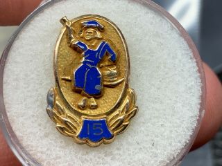National Lead Company Dutch Boy 1/10 10k Gold 15 Years Of Service Award Pin.