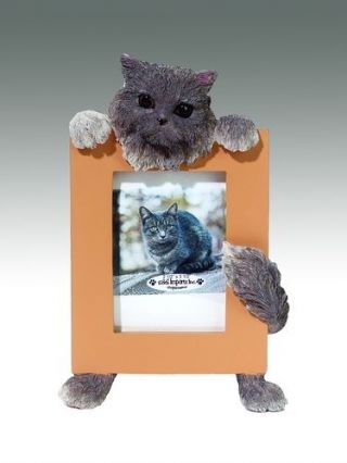 Persian Cat Gray Picture Frame 16 - 4a