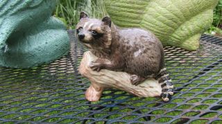 Beswick Figurine Raccoon On Log Made In England 4.  5 " X 4.  5 " 2194
