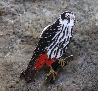Hobby Falco Subbuteo Swift Falcon Eagle Hawk Raptor Prey Bird Perching Pin Badge