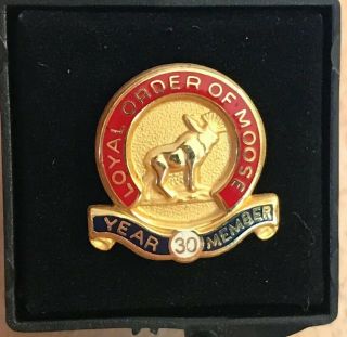 Loyal Order of Moose 30 Year Member Anniversary Club Pin In Case 3