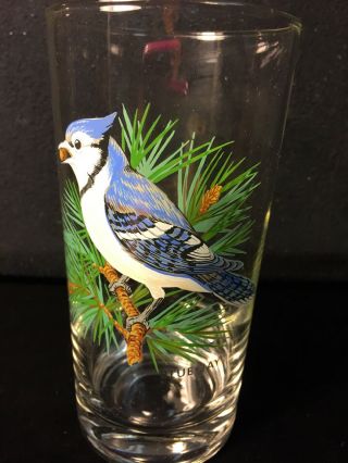 Vintage Song Bird Drinking Glass Tumbler Blue Jay On Branch Pretty Colors