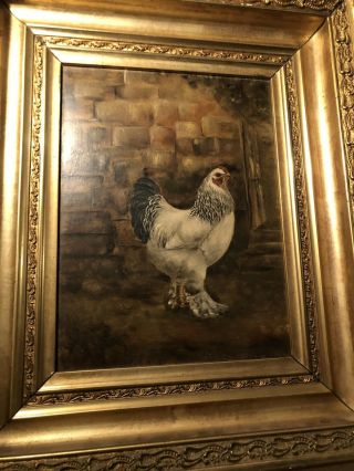 19th Century Primitive Oil Painting Of A Rooster Chicken Signed Blair