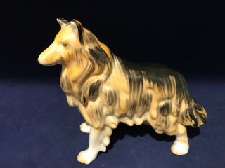 Porcelain Black And Yellow Collie Dog Figurine Glossy 6 " X 4.  5 " Made In Japan