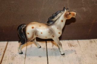 Vintage Made In Japan Leopard Appaloosa Spotted Horse With Norleans Sticker