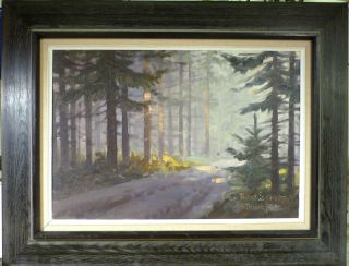 Evelyn Thorbjorn Forest Landscape With Pine Trees On A Sunny Day.