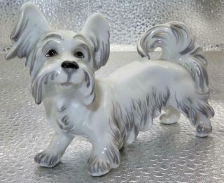 Augarten Wien Austrian Porcelain Miniature Dog 7682 Figurine Skye Terrier