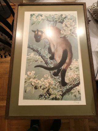 Vintage 1972 Signed,  Framed And Matted Print,  Siamese Cat