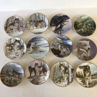 Plates - Porcelain Mini Collectors Year Of The Wolf Series 3” Plates (12)