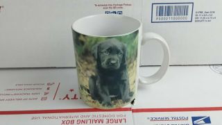 Black Lab Labrador Retriever Dog Puppy Coffee Mug By Express 1994