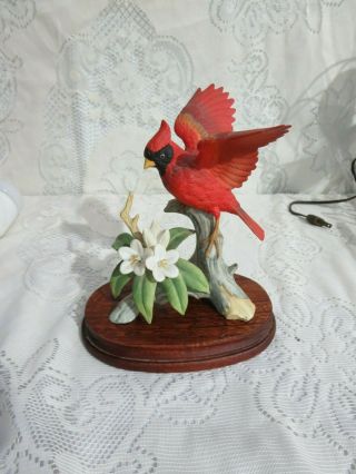 Andrea By Sadek Cardinal Outstretched Wings White Flower 6231 Wood Base
