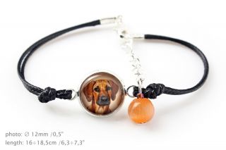 Rhodesian Ridgeback.  Bracelet For People Who Love Dogs.  Photojewelry.  Handmade.  Ca