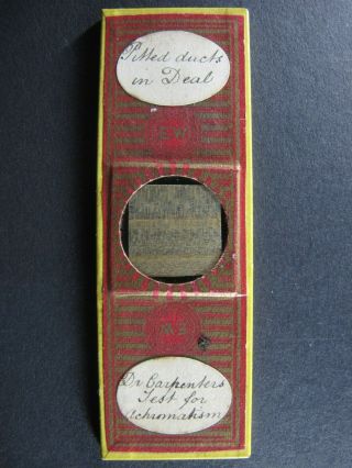 Antique Microscope Slide By E.  Wheeler.  Pitted Ducts In Deal.  Dr.  Carpenters Test.