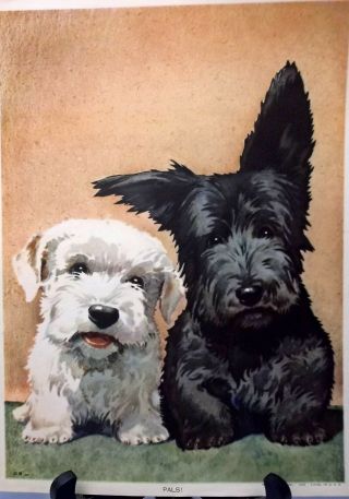 Sealyham Terrier,  Scotty Puppy Print,  Lithograph,  1941,  Ready To Frame,  Puppies