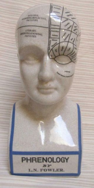 Porcelain Phrenology Head Bust L.  N.  Fowler Ludgate Circus London