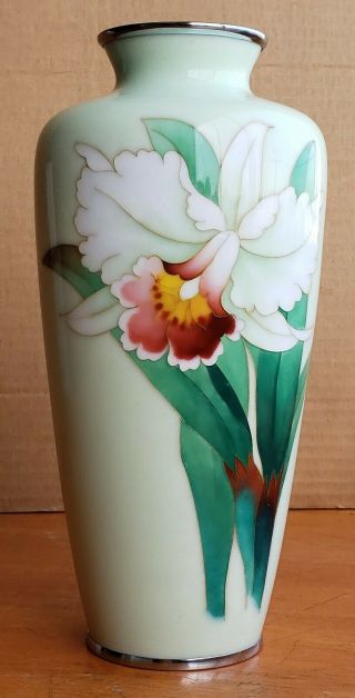 Vintage Japanese Cloisonne Vase Light Green Green 9.  5 Inch