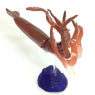 Capsule Aquarium Deep Sea Life Mini Figure Giant Squid Kaiyodo Japan 3