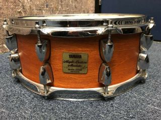 Yamaha Maple Custom Absolute 14 " X 5.  5 " Snare Drum,  Vintage Natural