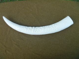 18 " Faux Elephant Tusk Shaped Ornate Asian Carved Design Heavy Resin