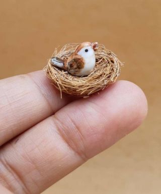 Tiny Sparrow Bird In Nest Ceramic Figurine Miniature Mini Birds Collectible Gift