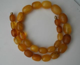 103 Gr Vintage Natural Butterscotch Baltic Amber Necklace
