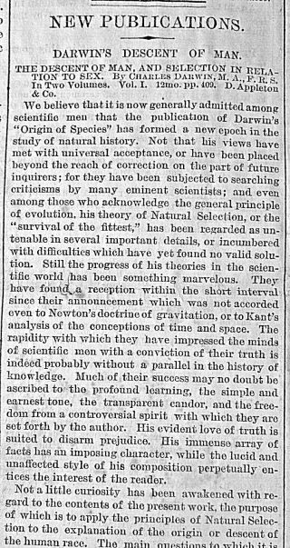 Charles Darwin Book " The Descent Of Man " Review & Report 1871 Newspaper