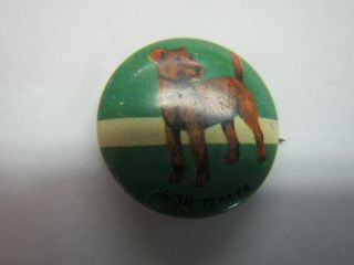 Irish Terrier Dog Pin Back Button Pin Canine