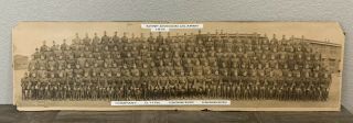 Ww1 Panoramic Photo 42nd Infantry Us Army Division Company D117th Engineers 1919