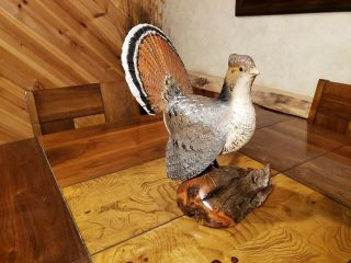 Strutting Ruffed Grouse Wood Carving Upland Game Bird Duck Decoy Casey Edwards