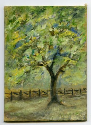 7 " Vintage Oil Painting On Canvas Old Tree Rustic Fence Julia Hosmer American