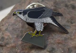 European Sparrowhawk Bird Of Prey Brooch Raptor Wildlife Pin Badge