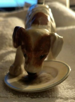 Vintage Rare Royal Doulton Jack Russell Terrier Dog Eating W/ Plate Hn1158 - Retrd