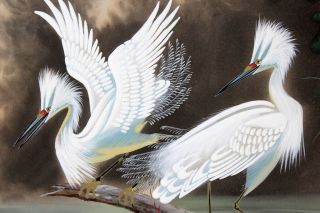 Pair/2 12 X 16 In.  Gouache Paintings/egrets In Florida/signed Gordon 1951/birds