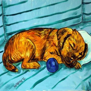 Border Terrier Sleeping On A Couch Dog Art Tile Coaster