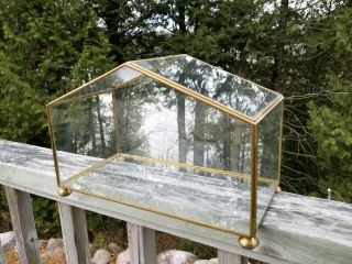 Vintage Brass & Glass Hinged Box/display Case/curio Jewelry/trinket/terrarium