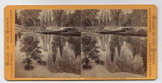 E.  J.  Muybridge: Reflections Tutokanula In Merced California 1860s Stereoview Sv