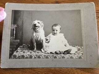 Young Child With Dog Sitting On Table Cabinet Card Photo Mutt Look